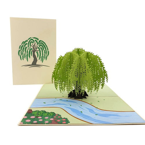 Pop Up Card : Willow Tree