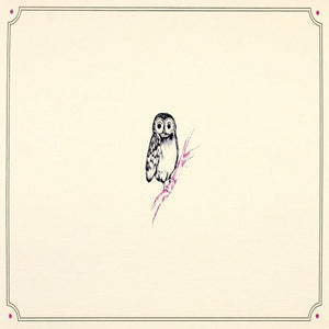 Card Set - Owl Portrait