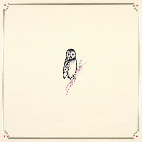 Card Set - Owl Portrait