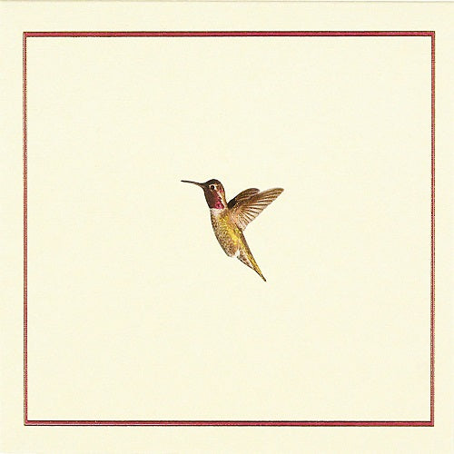 Card Set - Hummingbird Flight