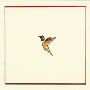 Card Set - Hummingbird Flight