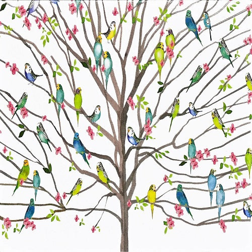 Card Set - Tree of Budgies