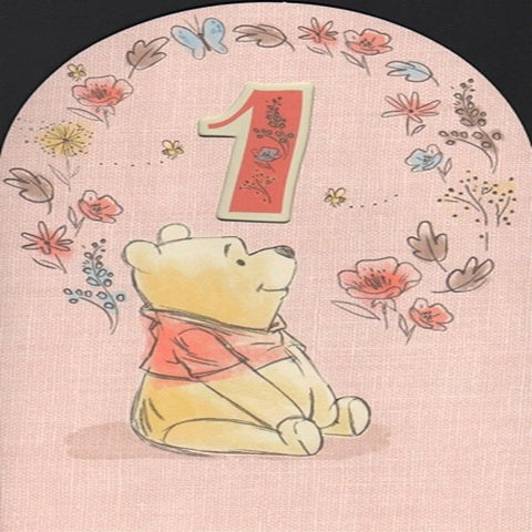 1 Winnie the Pooh