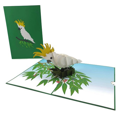 Pop Up Card : Cockatoo Bird