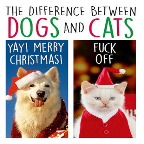 Difference Between Dogs and Cats
