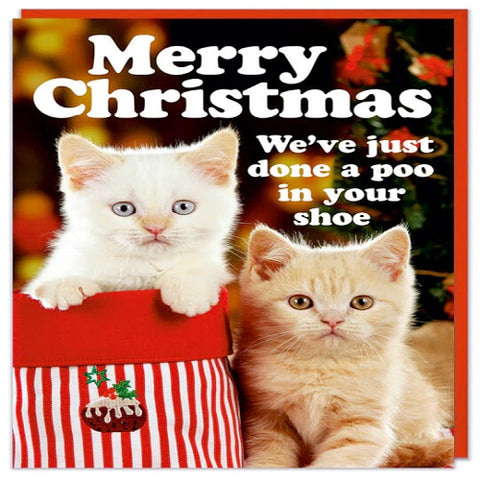 Merry Christmas - Kittens