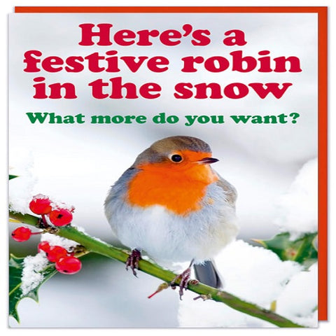 Here's a Festive Robin