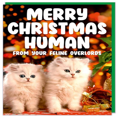 From Your Feline Overlords