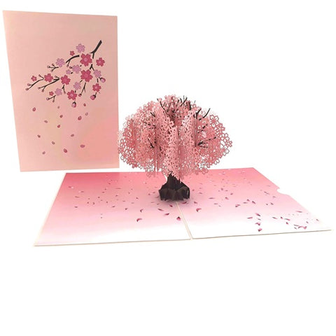 Pop Up Card : Cherry Blossom