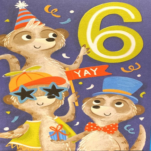 6 YAY
