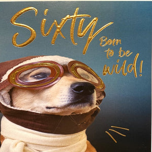 Sixty Born to be Wild!