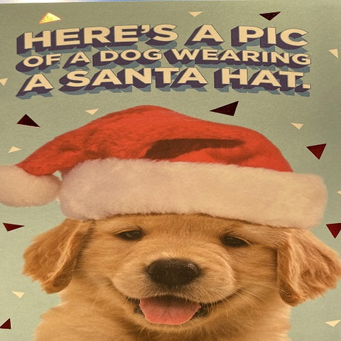 Sound Card : Dog With Santa Hat