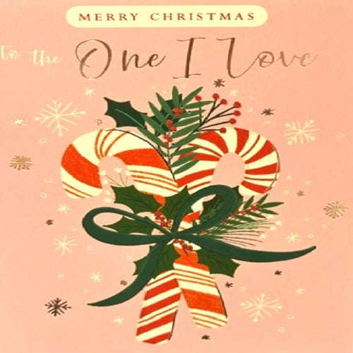Merry Christmas To The One I Love