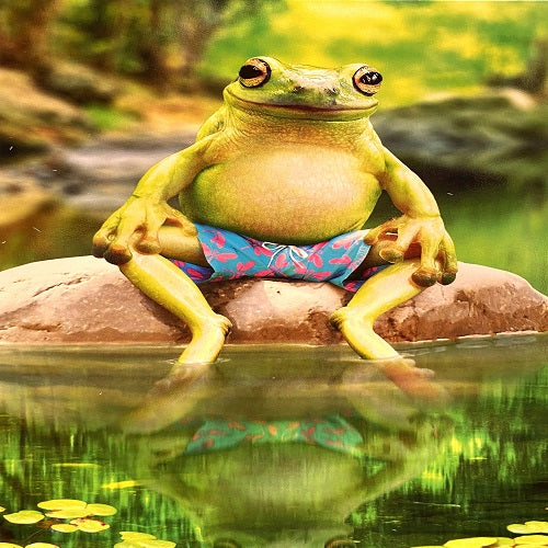 Frog Sitting on Rock