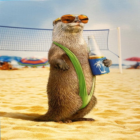 Otter on the Beach