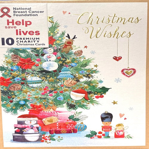 Charity Card Set : Festive Fun