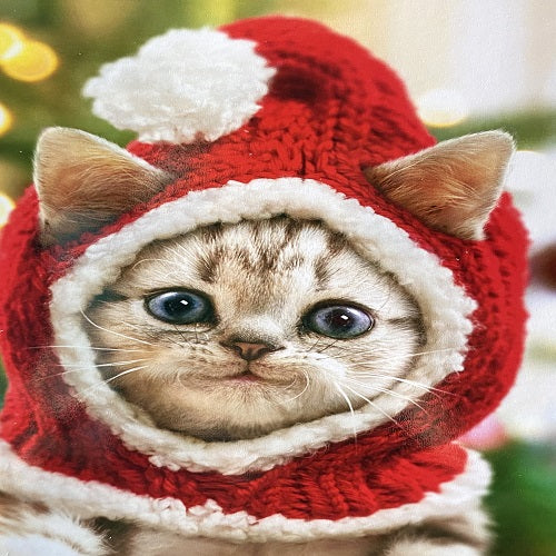 Cozy Little Christmas