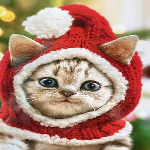 Cozy Little Christmas