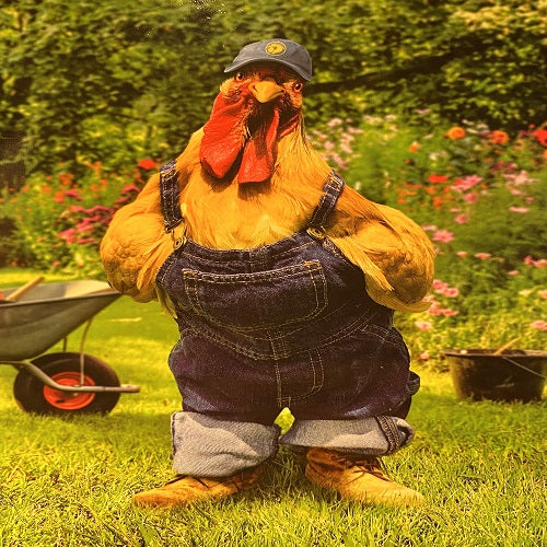 Chicken Gardener