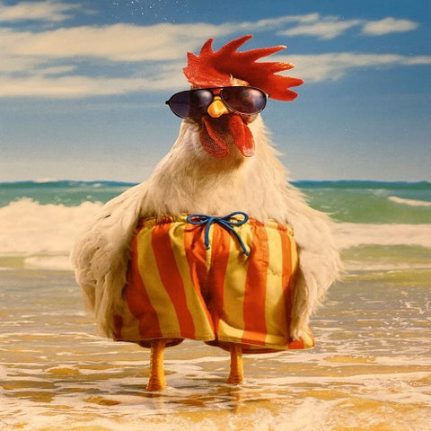 Chicken in Swimsuit