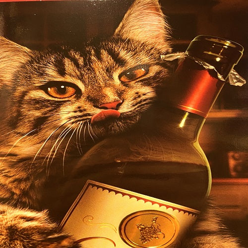 Cat Hugging Wine Bottle