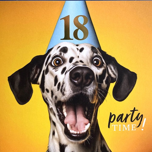 Party Time! 18