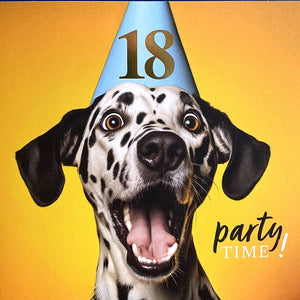 Party Time! 18