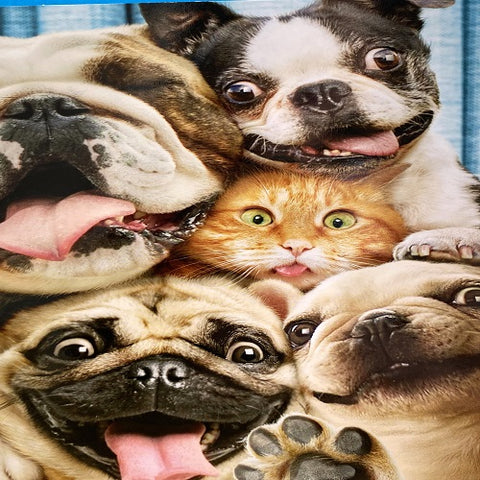 Group Hug