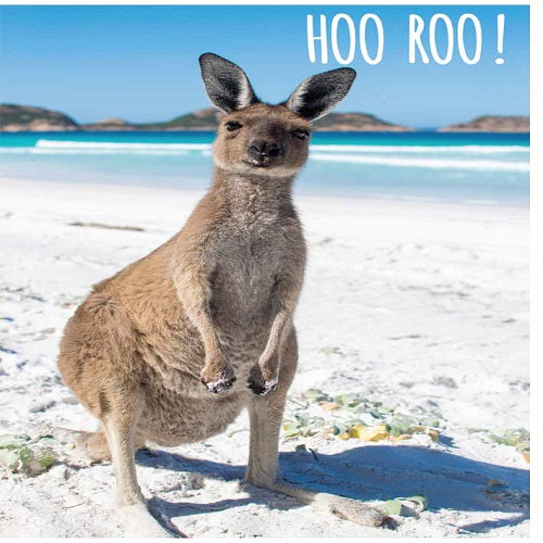 Large Card : Hoo Roo!