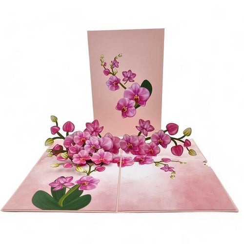 Pop Up Card : Pink Orchids