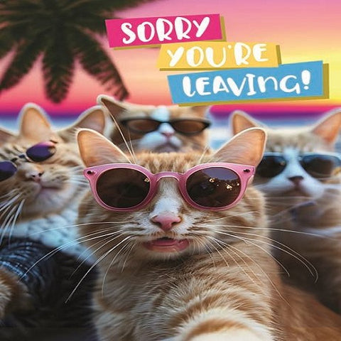 Large Card : Sorry You're Leaving - Cats