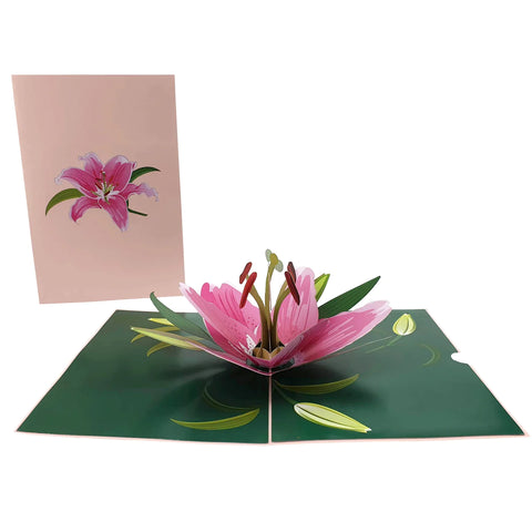 Pop Up Card : Pink Lily Flower