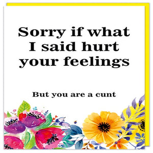 Sorry if What I Said Hurt Your Feelings