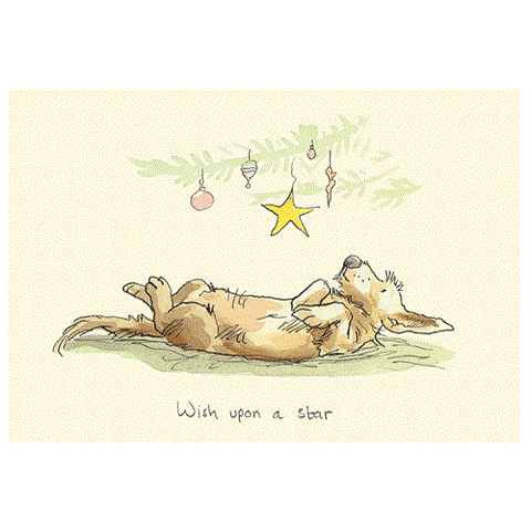 Wish Upon a Star