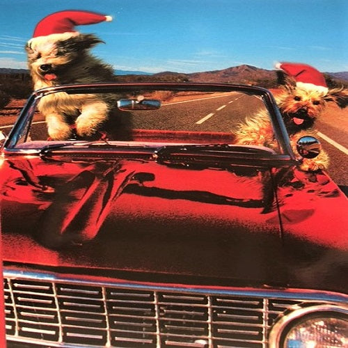 Santa Dogs Driving