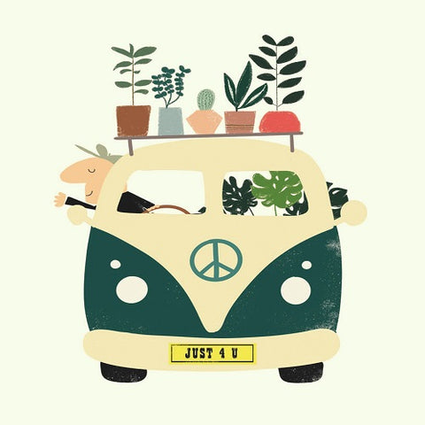 Just For You - Plants