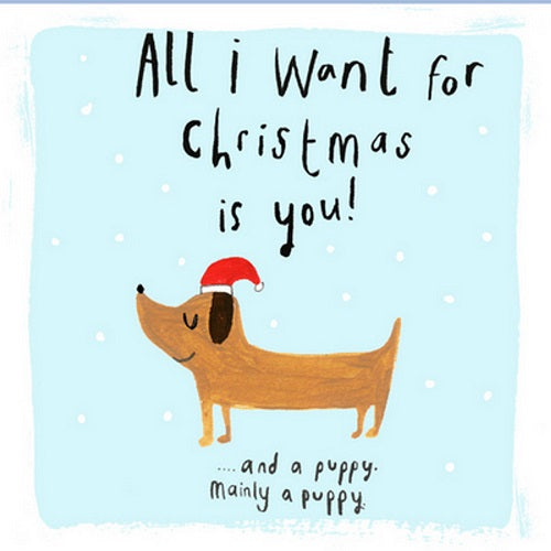 All I Want For Christmas is You!