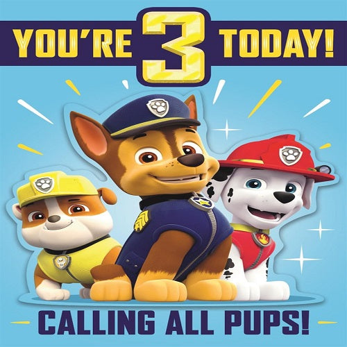 Paw Patrol - 3 Today!