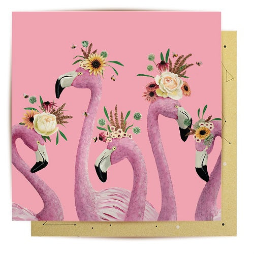 Flamingo Ladies