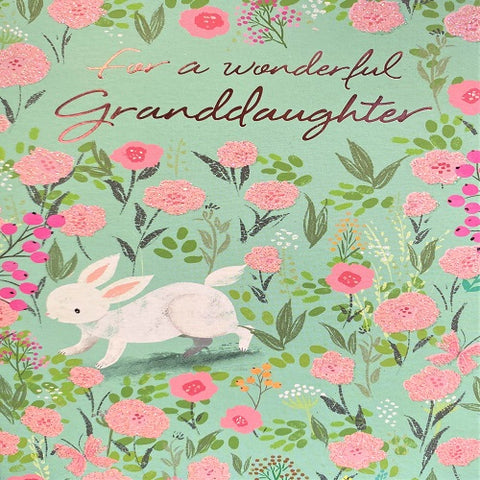 For a Wonderful Granddaughter