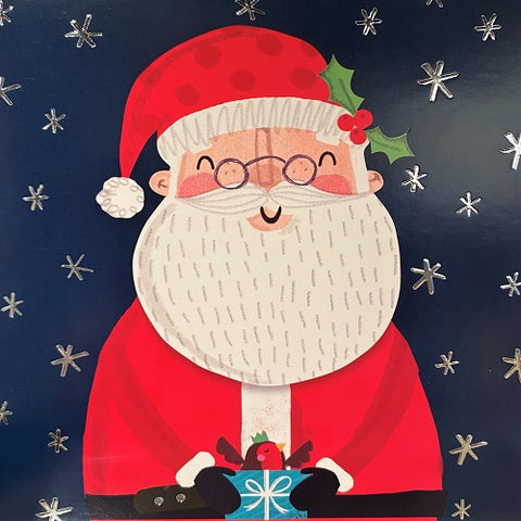 Charity Card Set : Santa