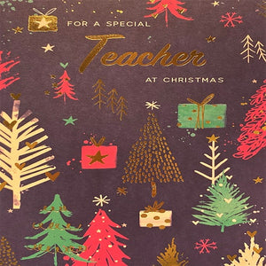 For a Special Teacher at Christmas