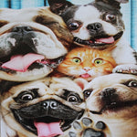 Large Card : Dogs and Cat