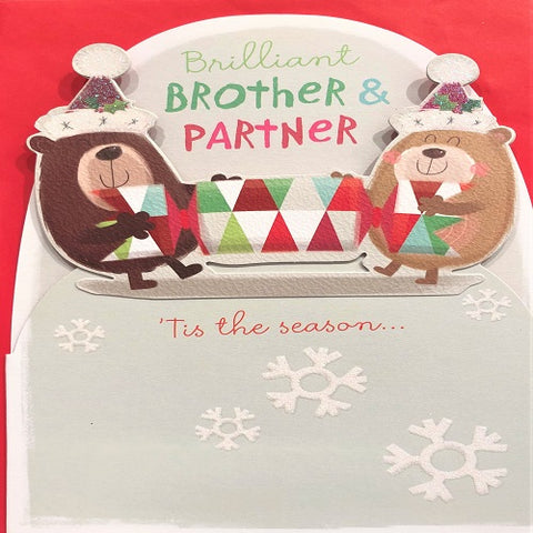 Brilliant Brother & Partner