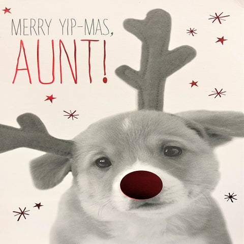 Merry Yip-Mas, Aunt!
