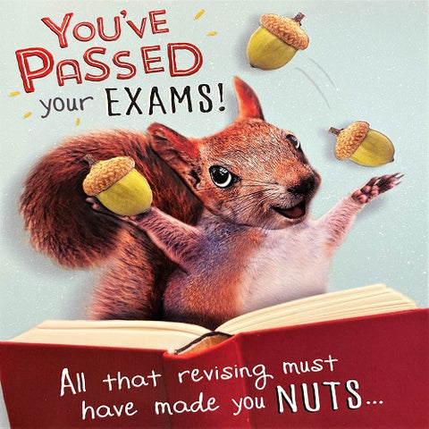 You've Passed Your Exams!