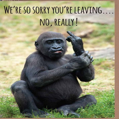 Large Card: We're Sorry You're Leaving...No,Really!