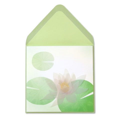 Transparent Lotus Flower