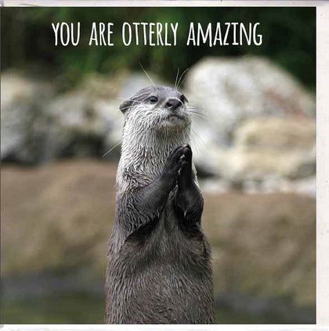 You Are Otterly Amazing
