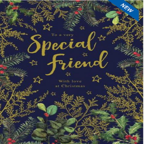 To a Very Special Friend